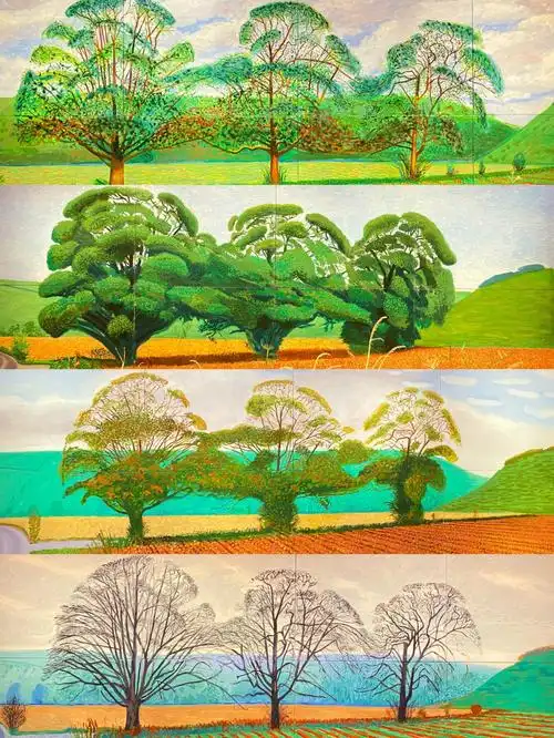 每日一画解析davidhockney三棵树