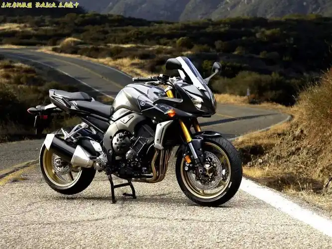 澎湃大虫「雅马哈fz1 fazer」