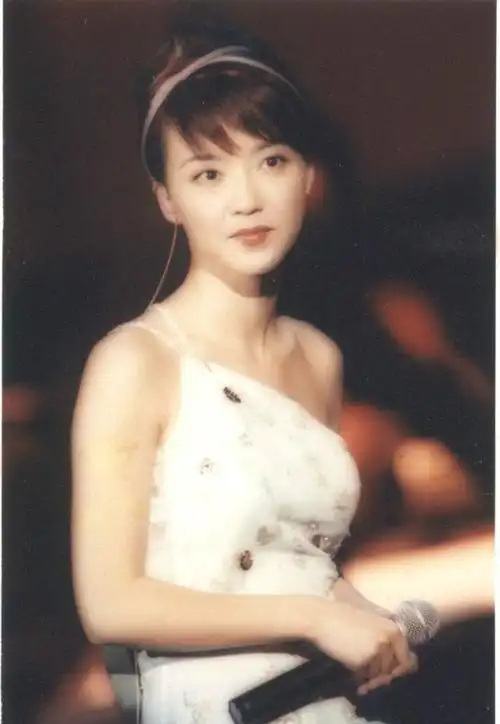 一代天后陈慧娴总是被人们忘记长什么样子的娴公主