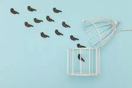 小鸟飞出了白色的笼子里照片