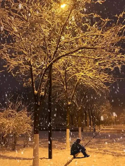 "今年冬天可以一起看雪吗" #下雪了   #治愈系风景   #北国风光
