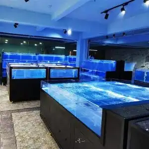 海鲜池鱼缸玻璃饭店图片