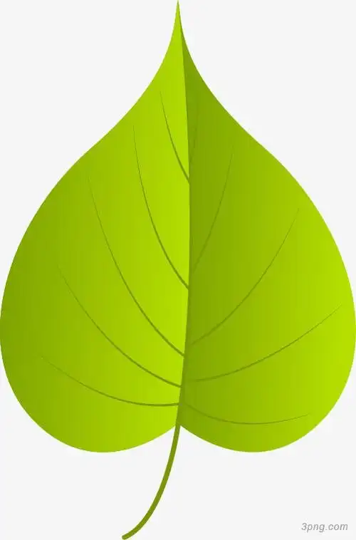 475 1 0 举报  标签:树叶春天卡通树叶春季树叶叶子树叶边框手绘树叶