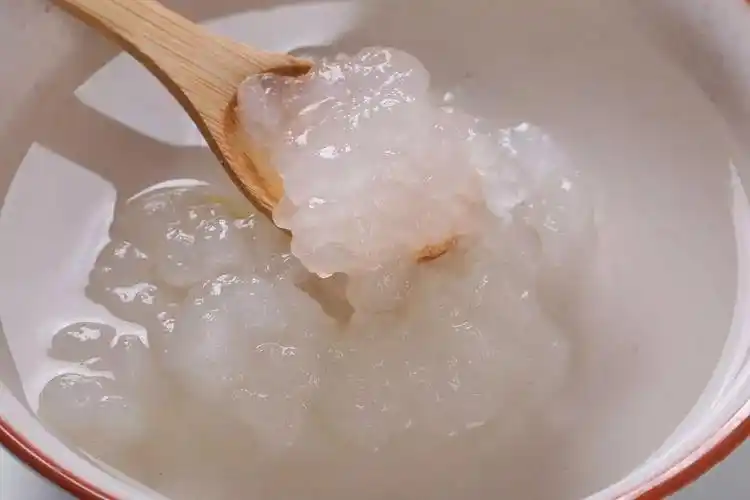 雪蛤能养阴补虚效果竟这么大