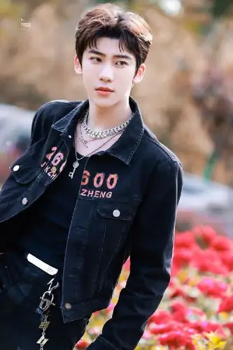 丁泽仁金曲青春东方卫视番茄台仁比花娇燃