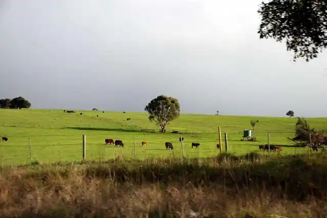 大自流盆地又被称为澳大利亚盆地,位于澳大利亚中部偏东地区,面积约
