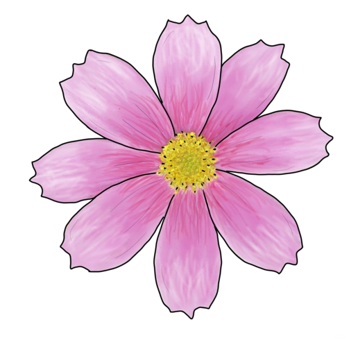 藏族盖头,格桑花|插画|商业插画|雪域王 - 原创作品 - 站酷 (zcool)