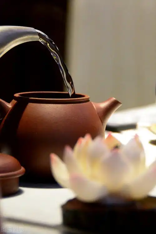 心香禅意佛系图片,唯美意境,净化心灵,静心禅语