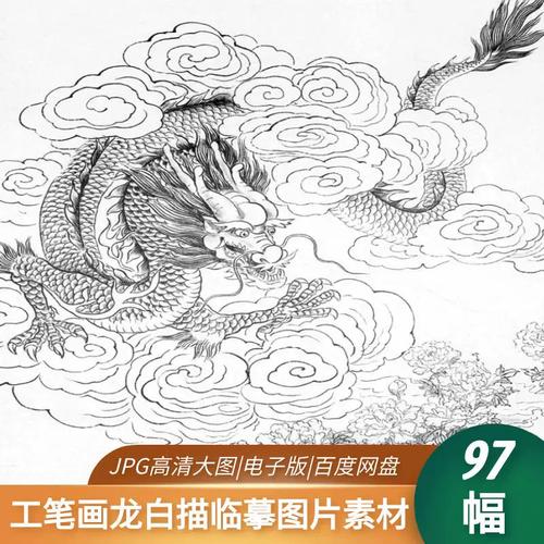 工笔白描画龙图片大全传统黑白龙头神龙凤国画线稿电子版临摹素材