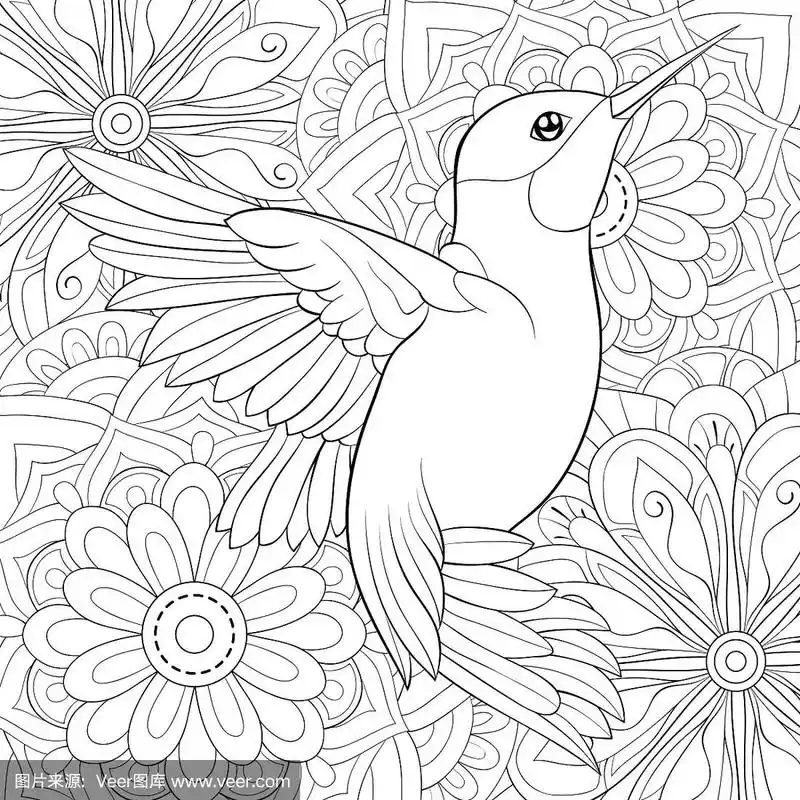 成人涂色书册上有一只可爱的蜂鸟