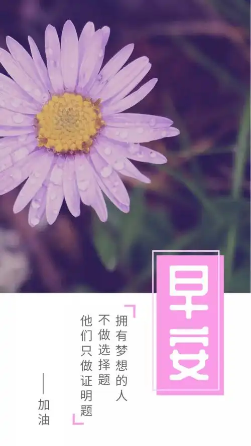 2020-09-16 11:01:12粉色樱花文艺清新早安每日一签新媒体-每日一签梦