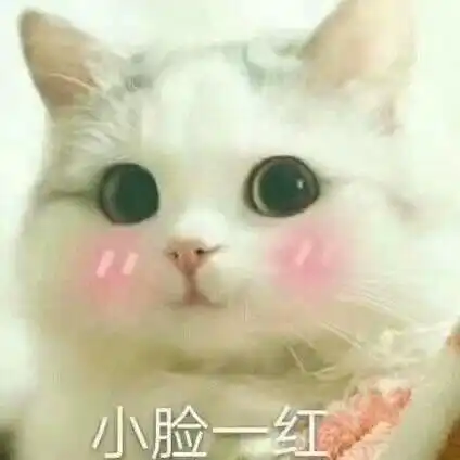 表情包-花瓣网|陪你做生活的设计师 | 二次元仓鼠表情包_360图片