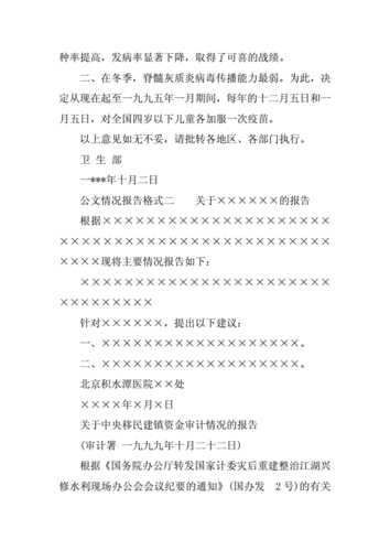公文情况报告格式docx4页