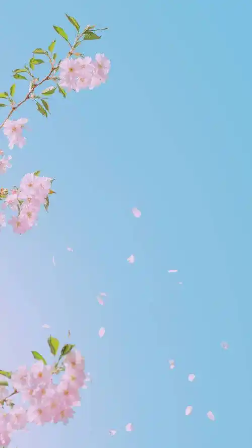 夏天小清新手机壁纸小清新手机桌面壁纸