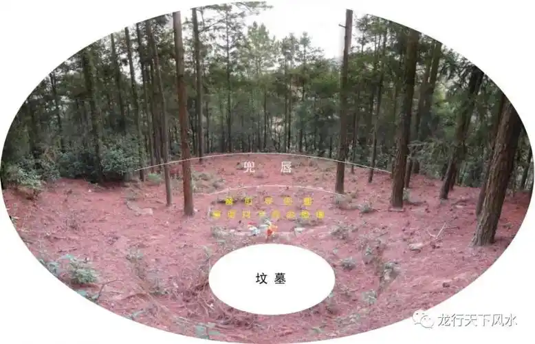 于坟后看穴场与明堂全景图22,于坟前看左边图22,左肩砂比穴场高二三米