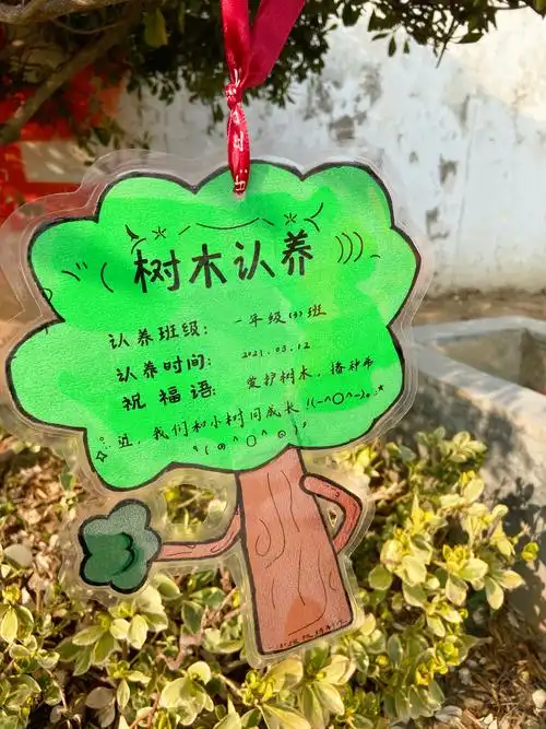 各班在老师的带领下,了解校园内的树木名称及生长习性,把精心制作的