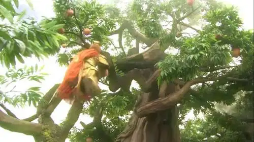 让孙悟空去看守蟠桃园的起因是他经常无事生非,对于天庭的规矩更加是