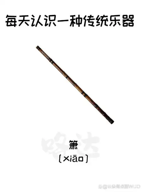 每天认识一个传统乐器——箫