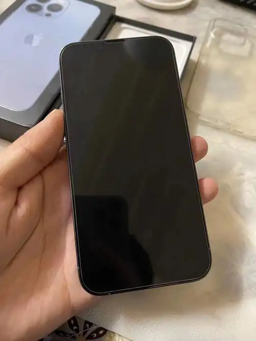 13pro 128 国行双卡 电池100 官方在保有ac (摔烂了售后直接用ac 直接