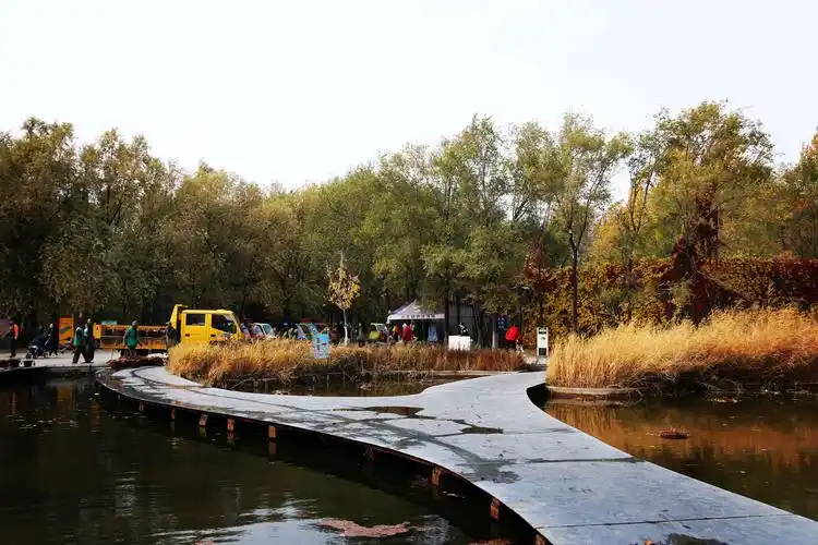 长白岛森林公园