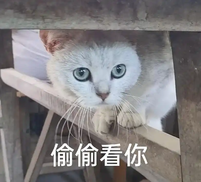 表情包 来了 - 抖音