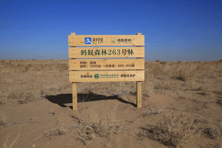 快看你的盖戳了没!支付宝蚂蚁森林种成4883万棵树