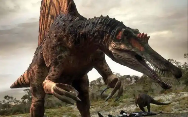 北非大陆的王者——棘背龙