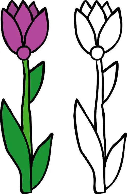 彩色书与花的主题2