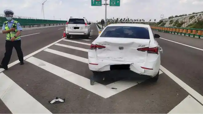 新手司机高速撞车被问到事故原因车主那棵树必须砍了