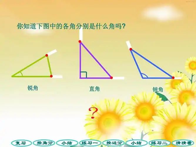 锐角 直角 钝角 复习 按角分 小结 练习一 按边分 小结 练习二 猜猜