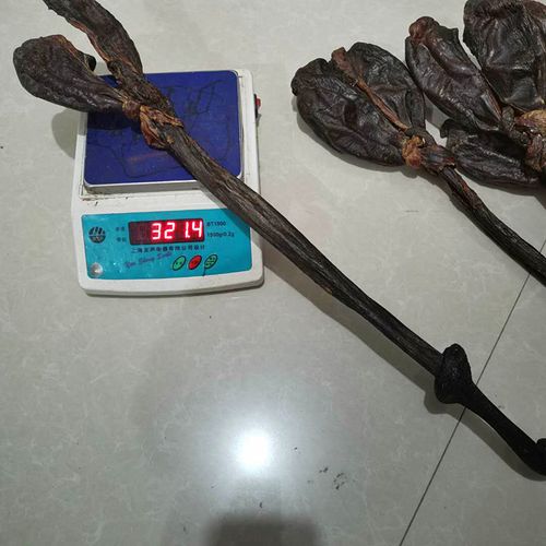 马鞭 新货大马鞭男性传统滋补养生泡酒料 一条包邮另售牛鞭