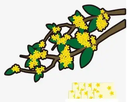 了解更多桂花 简笔画,桂花简笔画简单又漂亮,桂花简笔画儿童画相关的