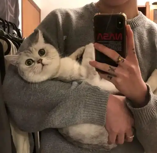 抱猫系列丨男头