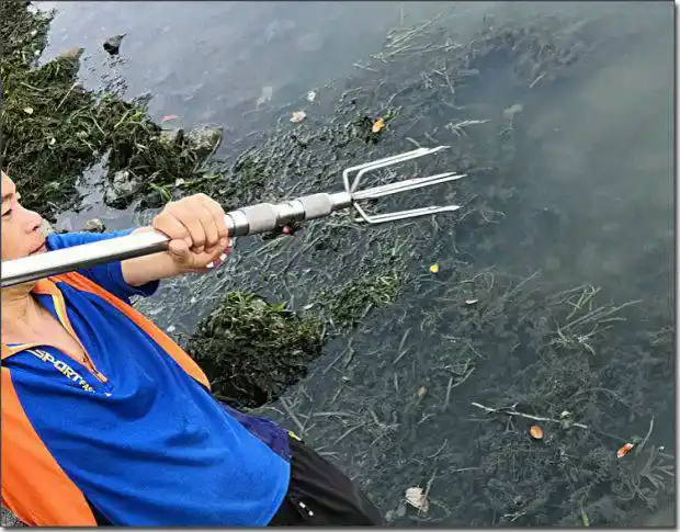 叉鱼钢叉带杆 捕鱼插鱼神器叉鱼渔叉不锈钢刺鱼器倒刺钢叉扎鱼套装