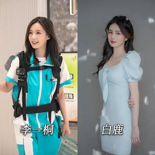 你觉得李一桐白鹿长的像吗