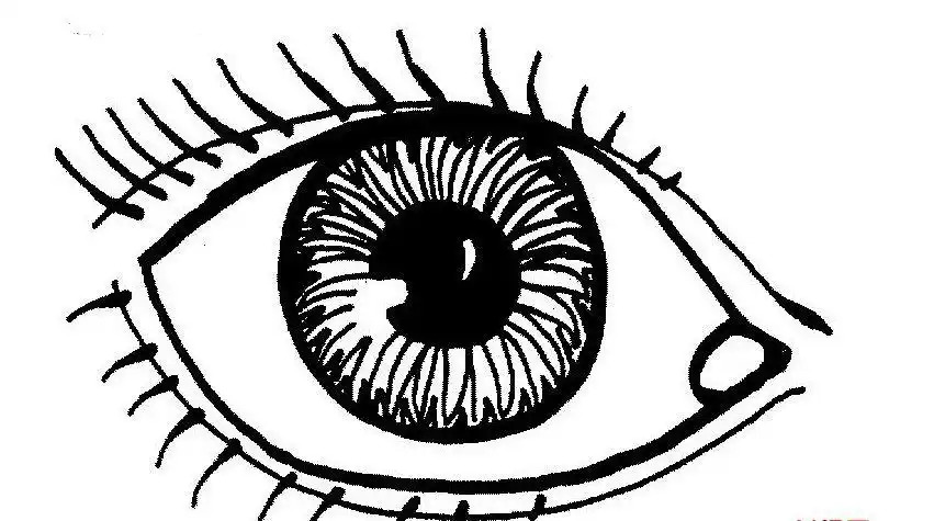 眼睛简笔画图片_儿童简笔画_简笔画大全