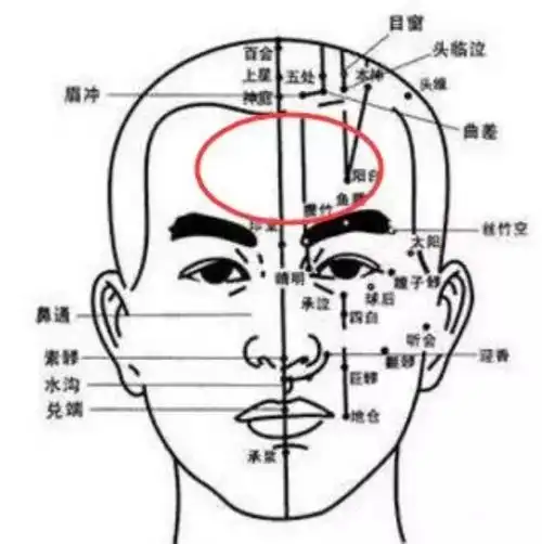 4,巅顶疼(头顶),属厥阴经