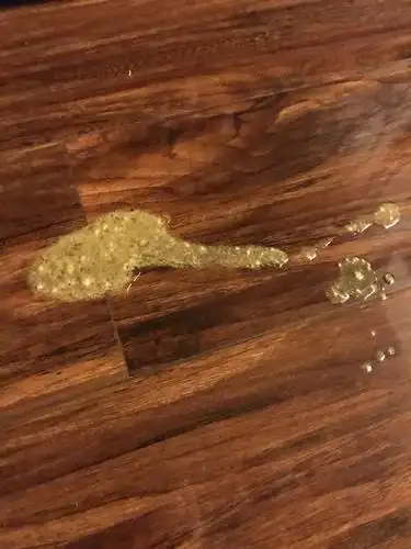 【求助】猫咪绝育后三天开始呕吐和腹泻该怎么办?