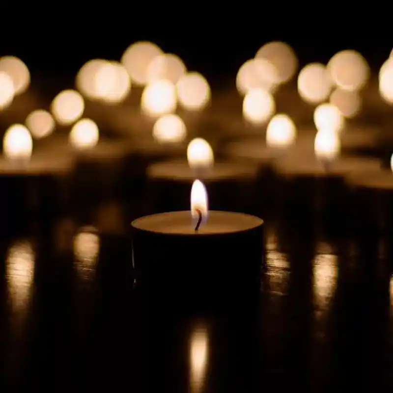 致敬2020清明祭英烈网上祭扫倡议书