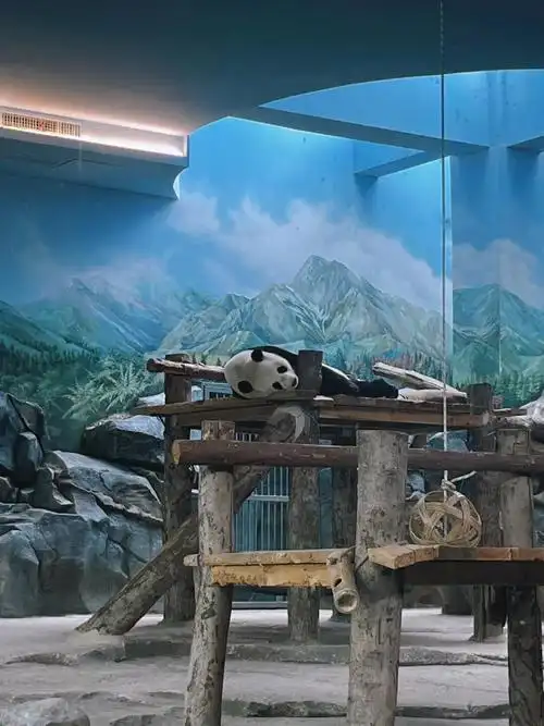 武汉动物园的动物不多但环境优美