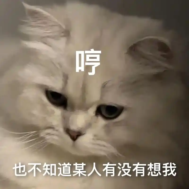 也不知道某人有没有想我.#发给对象表情包 #猫咪表情包 - 抖音