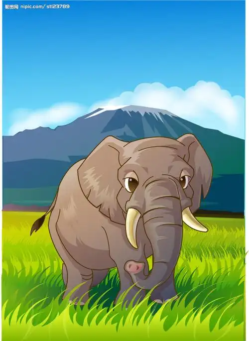 大象图片