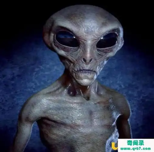 传闻库希瓦岛发现远古爬虫人雕像可能来自外星球