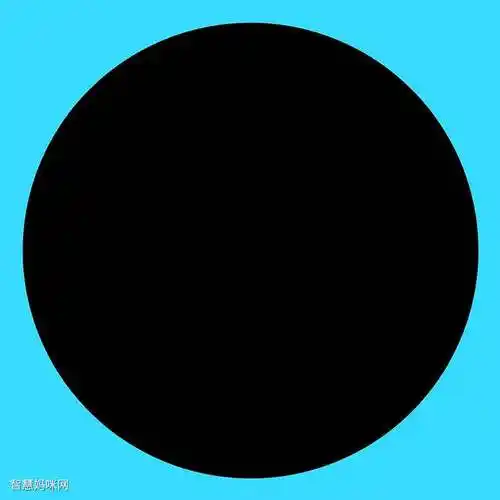 步骤1:首先我们准备一张黑色的圆形卡纸,作为画面的背景.