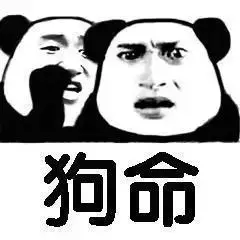 狗命表情包 - 狗命微信表情包 - 狗命qq表情包 - 发表情 fabiaoqing.