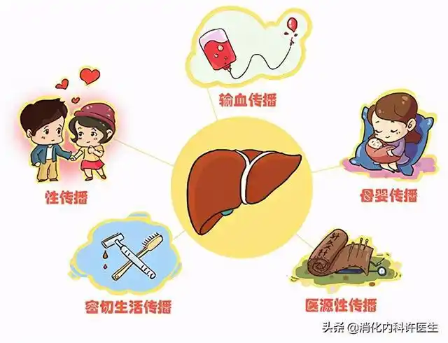 丙肝患者请注意走出丙肝认识的五大误区呵护肝脏健康