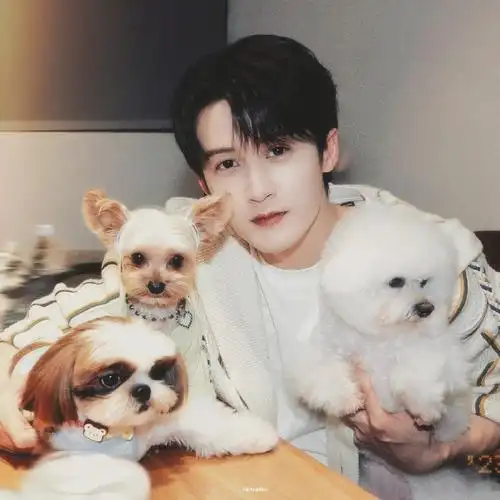 檀健次李佳琦直播#全世界最可爱的萌物集合咯060606@mic檀健次