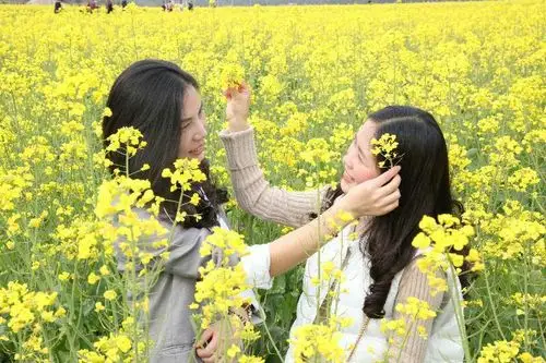 春天与油菜花的约会…一座小城,一群内心满是幸福的人