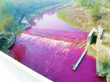 比正常人更易患上肝癌的5大人群