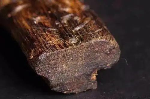 沉香木和檀香木的区别有哪些?